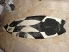 DSC01166.JPG