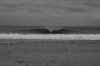 IMG_2124copy.jpg