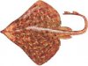 clearnoseskate.jpg