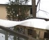 snow barrel.jpg