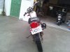 ts250rear.jpg