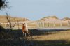 DSC_0052.jpg