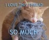I love this thread.jpg