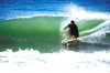 Josh alaia compressed.jpg