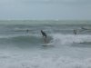 august 11th trop 5 swell (4).jpg
