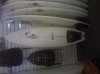 2010-08-15 11.06.24.jpg
