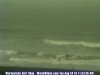 surfing-7.jpg