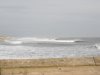 DSCF1029.jpg