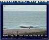 2vb 9-17.jpg