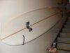 SDC15082.jpg