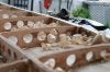 Woodshavings.jpg