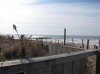 march 2011 297.jpg