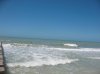IMG_0007.jpg