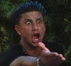 Pauly D.jpg