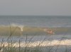 IMG_0010.jpg