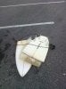 Surfboard.jpg