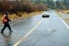 salmoncrossingroad.jpg