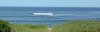 20150607_180441_startingToPeel - Copy.jpg