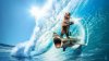gun-toting-shark-surfing-bear_wallpaper_1920x1080.jpg