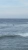 11207289_968265047114_4785005442739698816_n.jpg