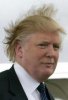 TrumpHair.jpg