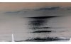 surfline nibiru.jpg