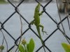 DSCN5758.jpg
