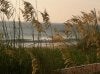 IMG_1037.jpg