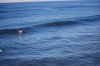 DSC_0169.jpg