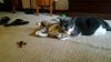 20150801_133637.jpg