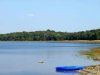 lake myrtle.jpg