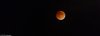 O43A2365.jpg