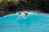 surfingtyphoonlagoon.jpg