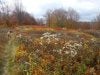 DSCN5993.jpg