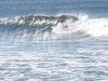 IMG_3123.jpg