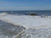 DSC00973.jpg