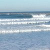 IMG_0196.jpg