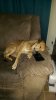 IMAG0320.jpg