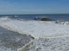 DSC00973.JPG