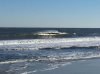 IMG_2295.jpg