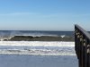 IMG_2194.jpg