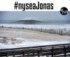 jonas5.jpg