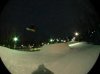 back 3.jpg