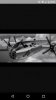 Screenshot_20160310-204435.jpg