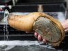 geoduck.jpg