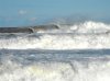 DSCF4147.jpg