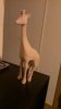 Unknown facebook_1460659073045.jpg