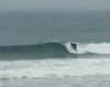 surfpic2.jpg