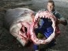 TROPHY HUNTING.jpg