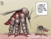 Mosquito.jpg
